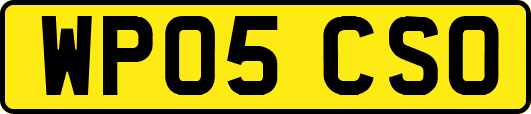 WP05CSO