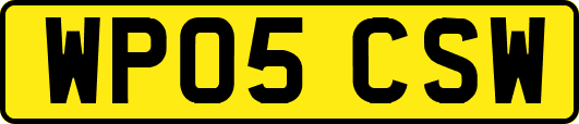 WP05CSW