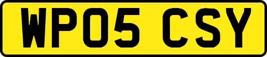 WP05CSY