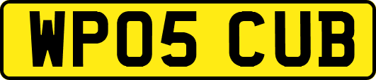 WP05CUB