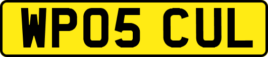 WP05CUL