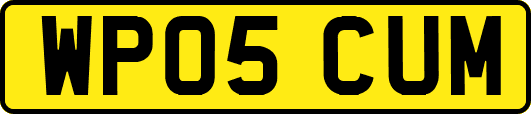 WP05CUM