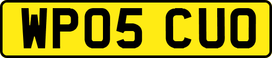 WP05CUO