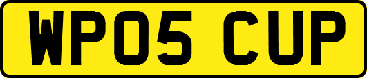 WP05CUP