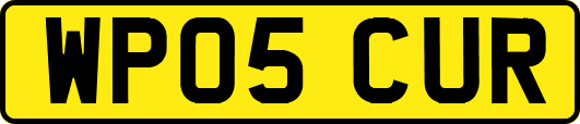 WP05CUR