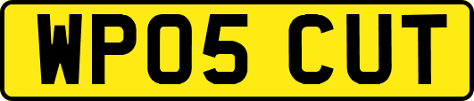 WP05CUT