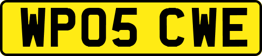WP05CWE