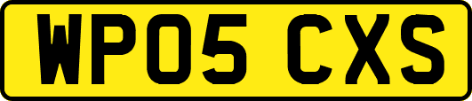 WP05CXS