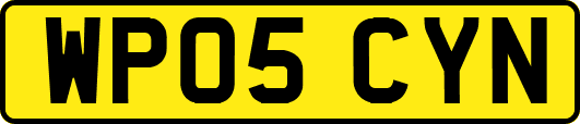 WP05CYN