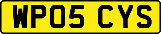 WP05CYS