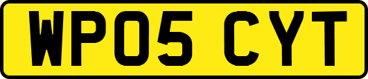 WP05CYT