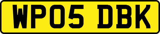 WP05DBK