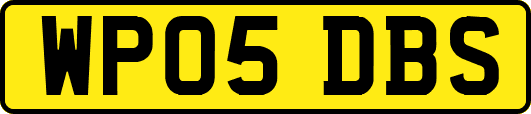WP05DBS