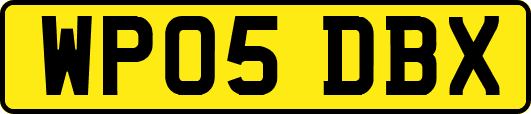 WP05DBX