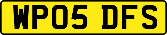WP05DFS