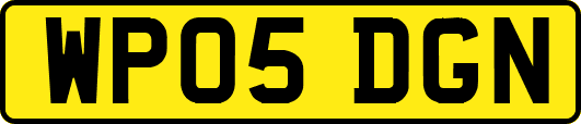 WP05DGN