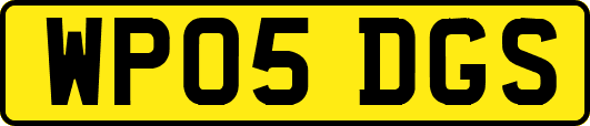 WP05DGS