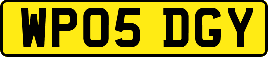 WP05DGY