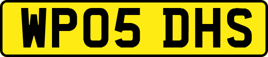 WP05DHS