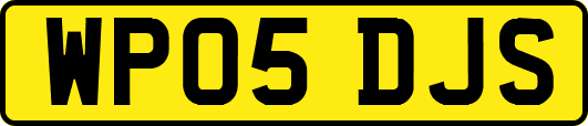 WP05DJS
