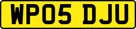 WP05DJU