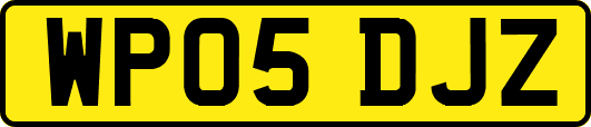 WP05DJZ
