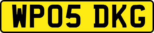WP05DKG
