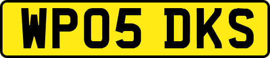 WP05DKS