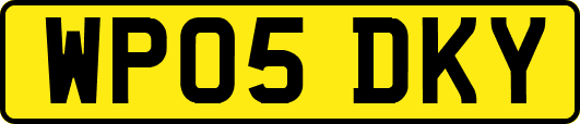 WP05DKY