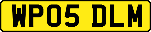 WP05DLM