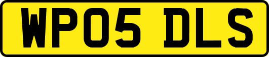 WP05DLS