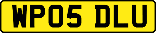 WP05DLU