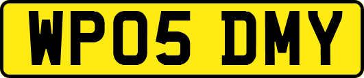 WP05DMY