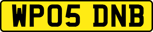 WP05DNB