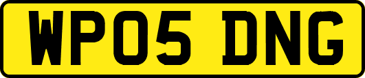 WP05DNG