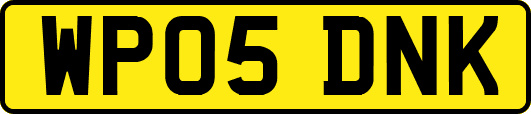 WP05DNK
