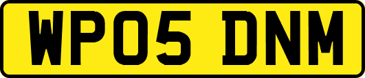 WP05DNM