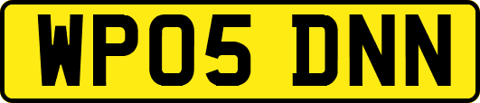 WP05DNN