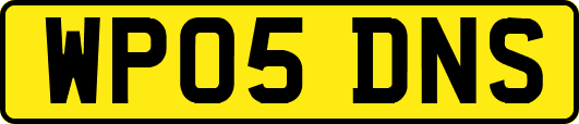 WP05DNS