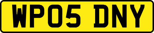 WP05DNY