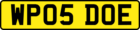 WP05DOE
