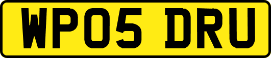 WP05DRU