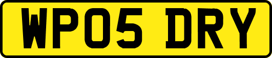 WP05DRY