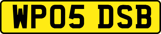 WP05DSB
