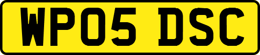 WP05DSC