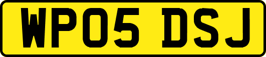 WP05DSJ