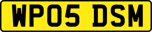WP05DSM