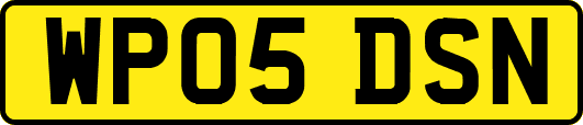 WP05DSN