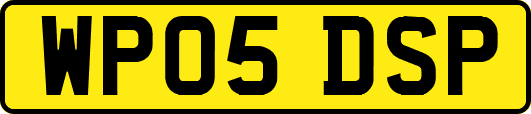 WP05DSP