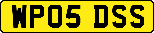 WP05DSS
